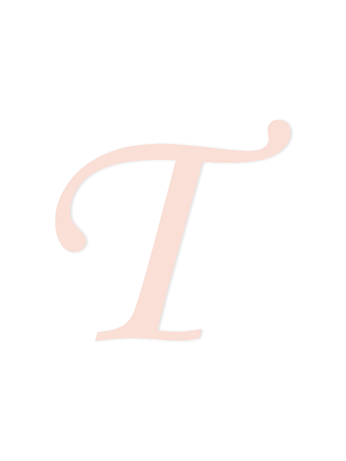 Wooden Letter T – Nursery Wall Letter