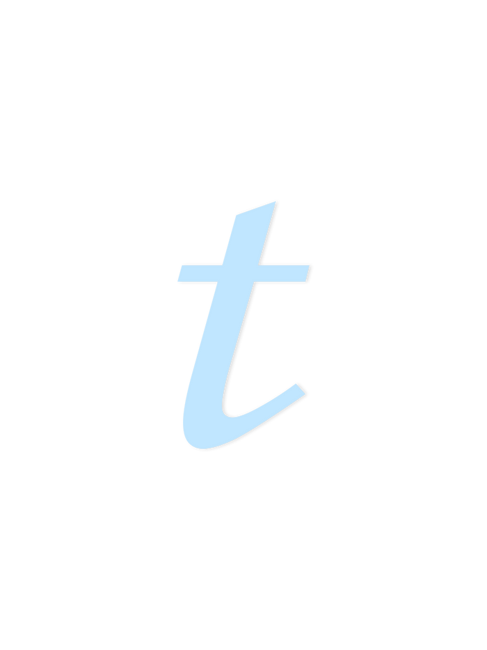 Wooden Letter t – Nursery Wall Letter